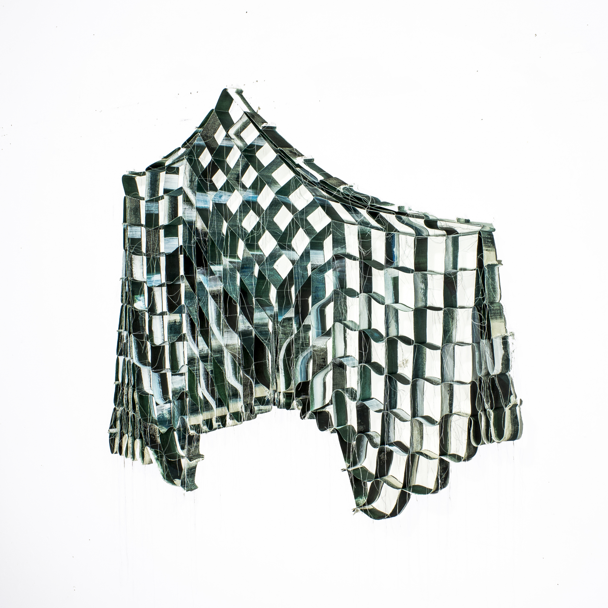 Macrocélula VII forma I, 2018