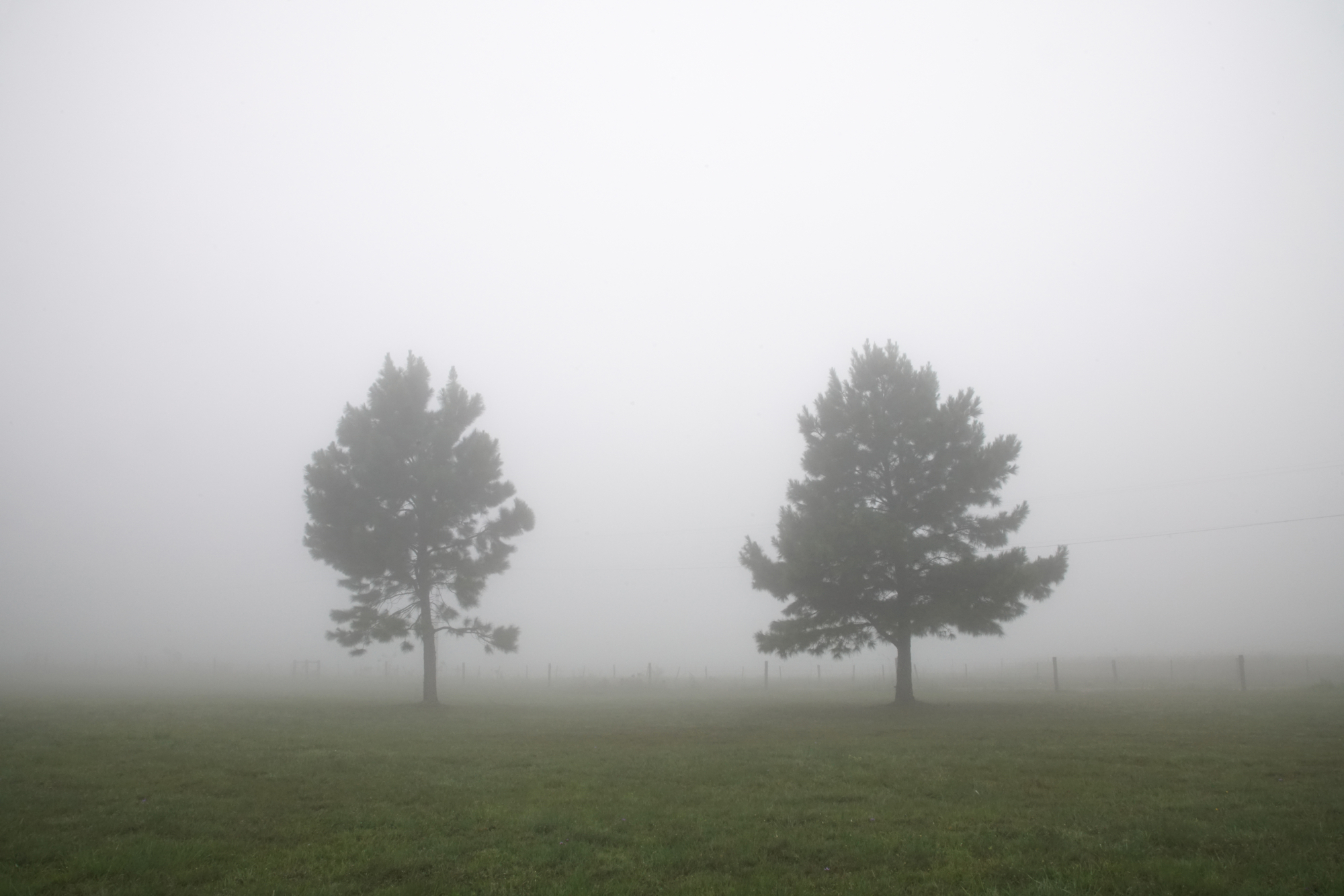 Sem Título, série Paisagens Interiores, 2021