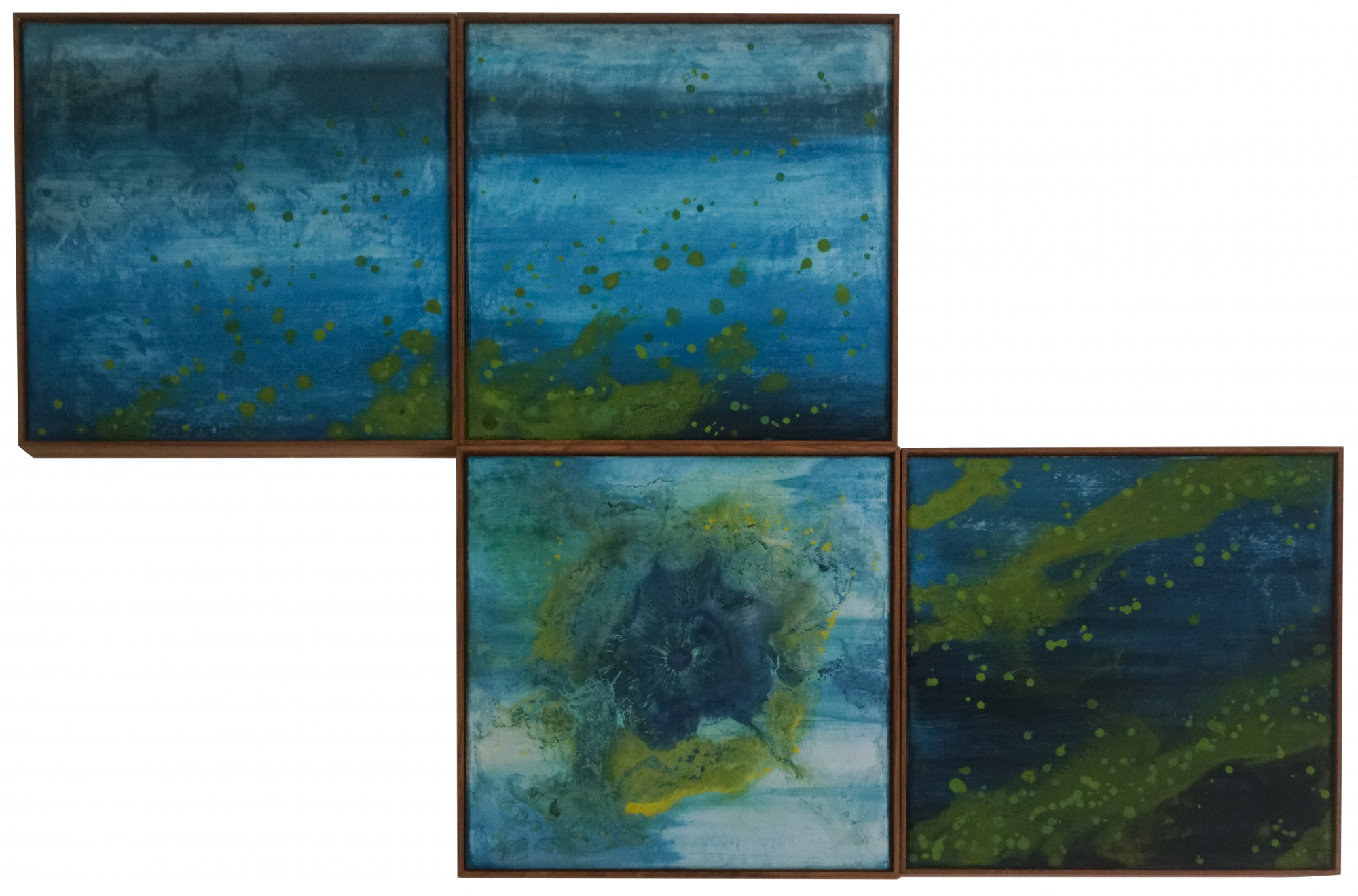 Paisagem Marinha com cianobactéria, 2018