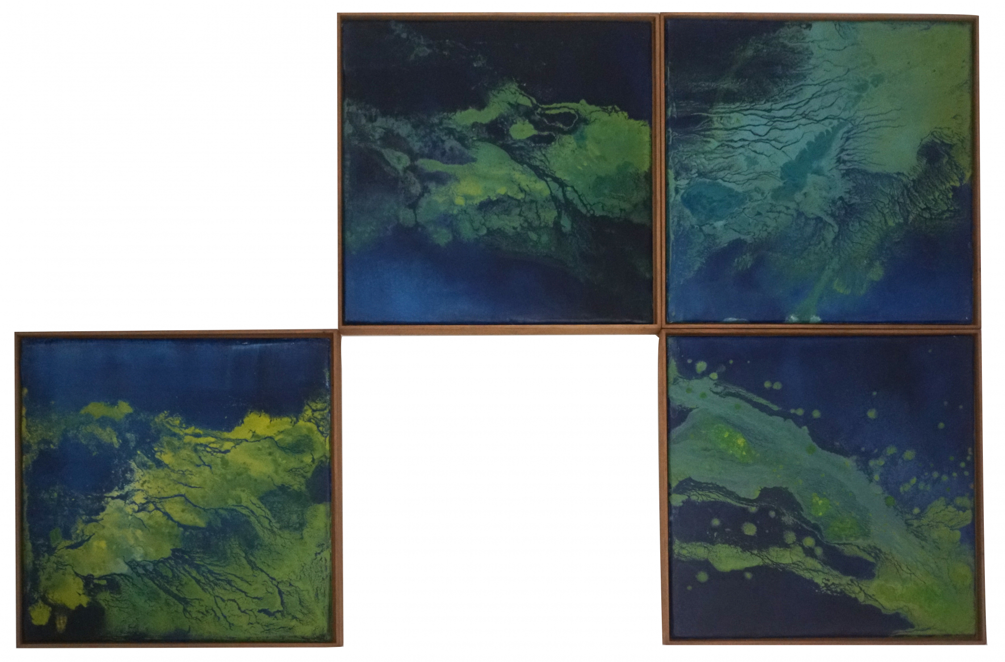 Paisagem Marinha com cianobactéria, 2018