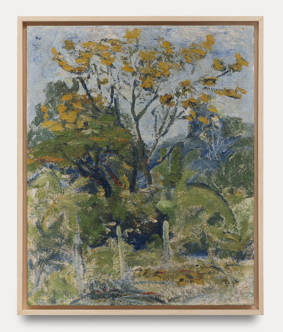 Miguel Bakun | Ipê Florido, déc. 1950