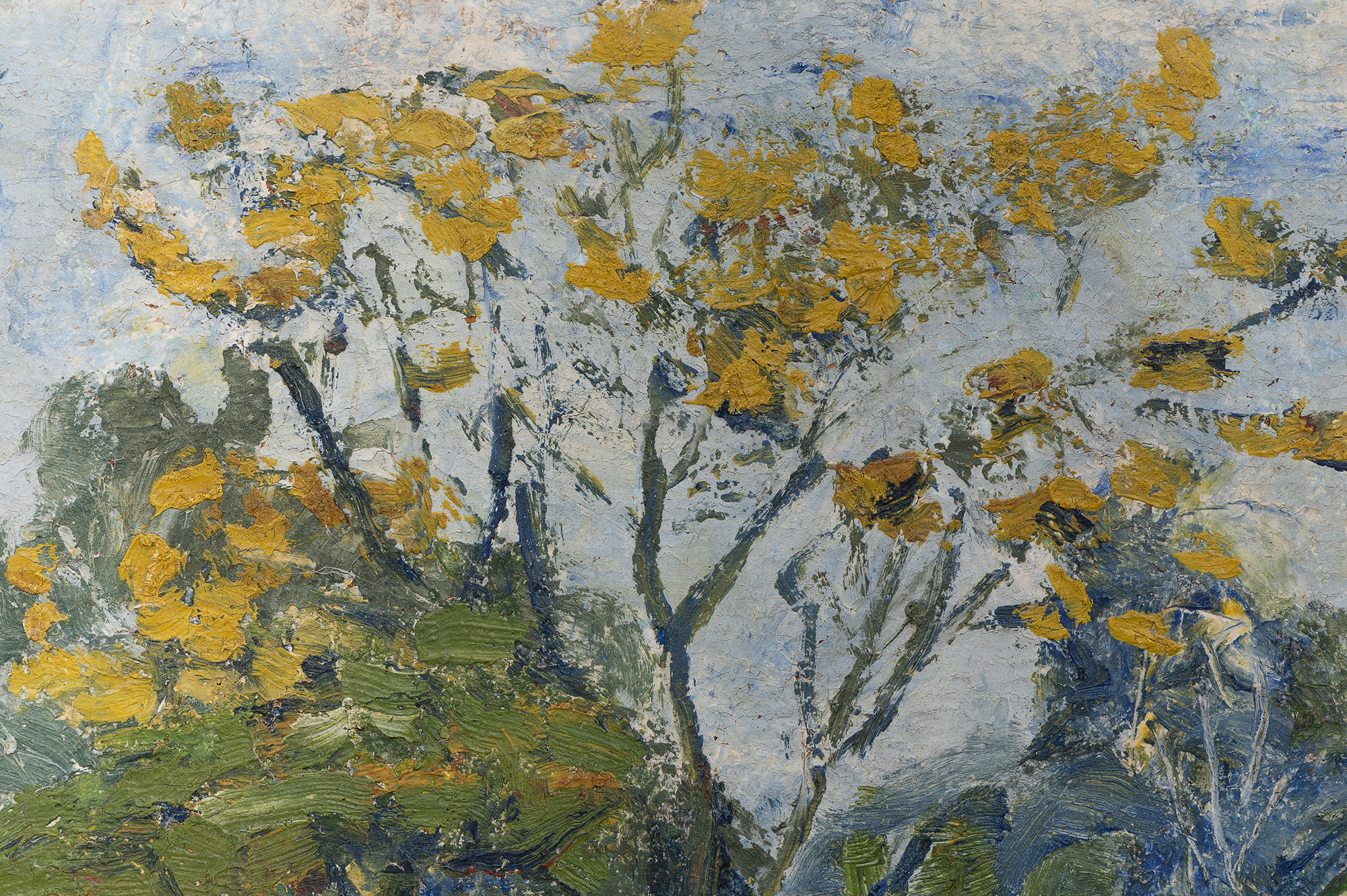 Miguel Bakun | Ipê Florido, déc. 1950