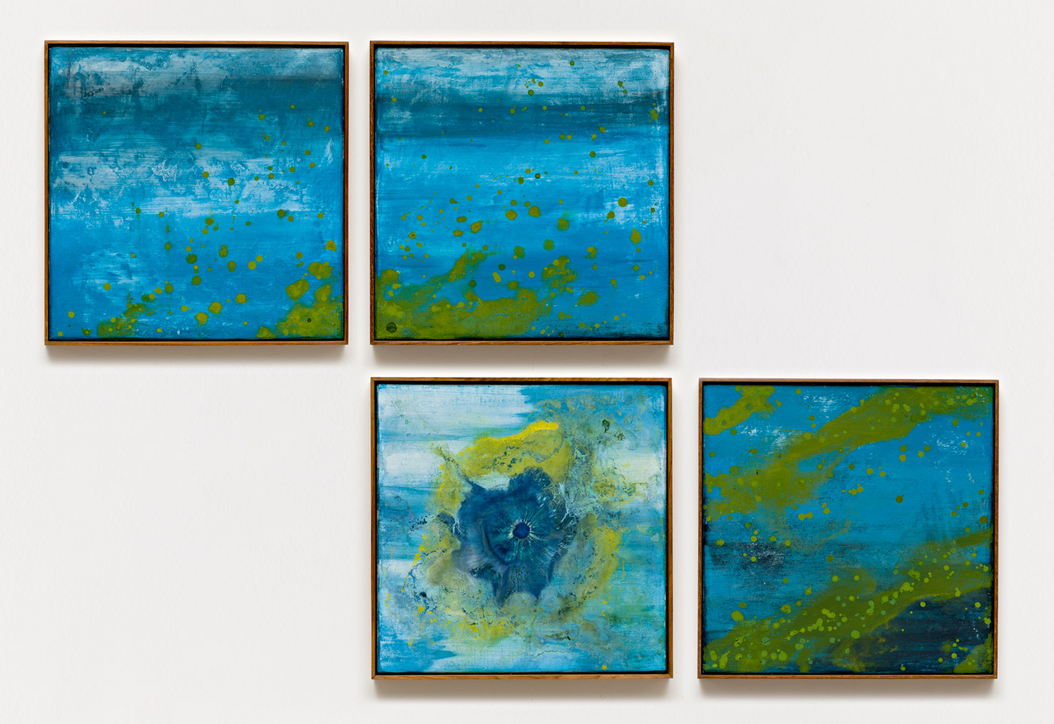 Thiago Rocha Pitta | Marinha com cianobactérias, 2018