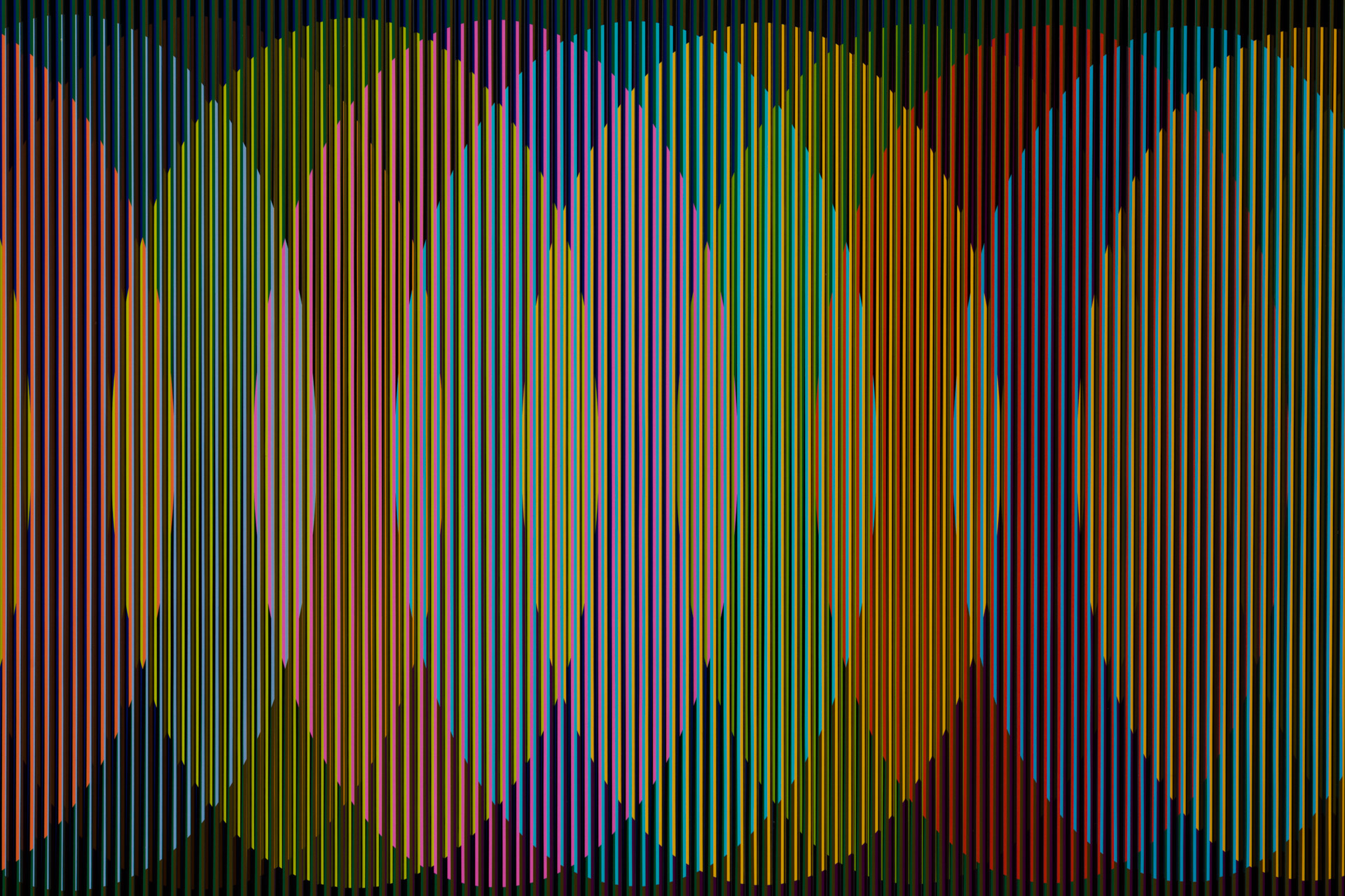 Physichromie 1877, 2013