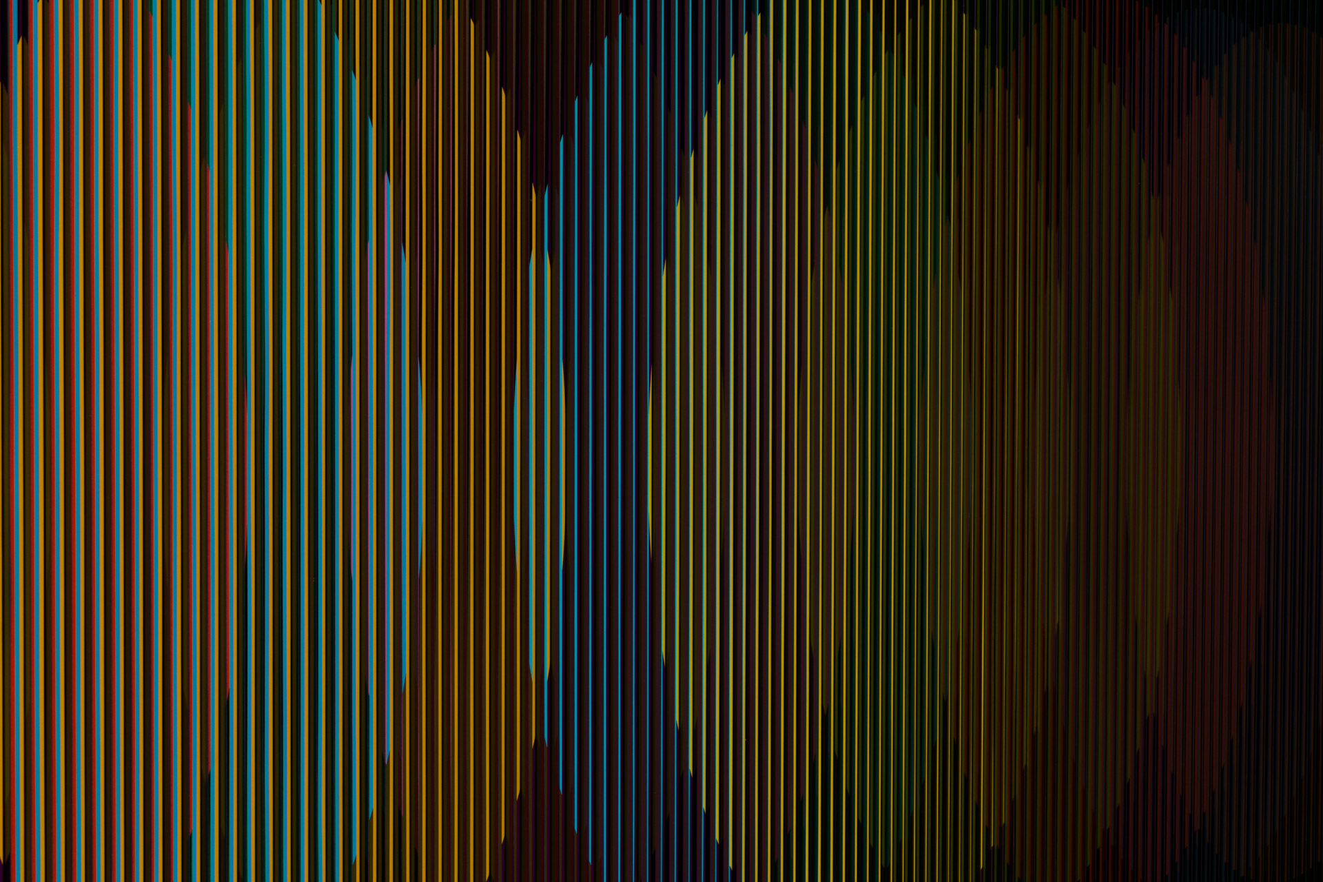 Physichromie 1877, 2013