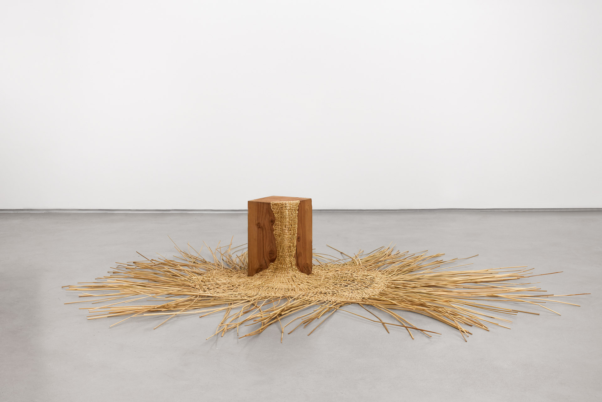 Ana Teresa Barboza | Precipitaciones Atmosféricas, 2016