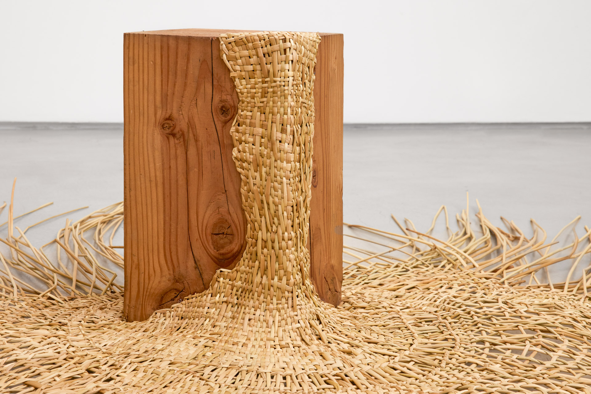 Ana Teresa Barboza | Precipitaciones Atmosféricas, 2016