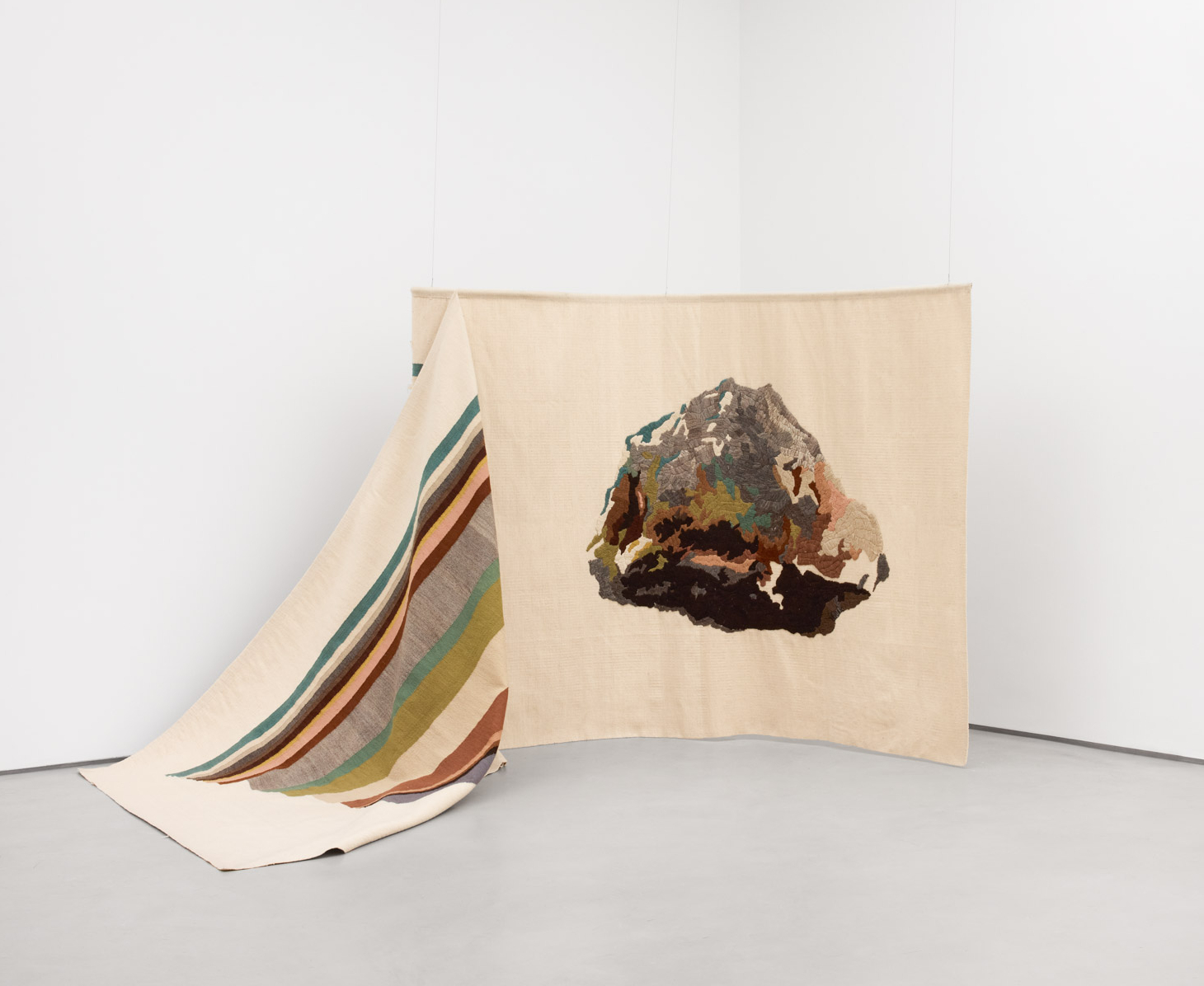 Ana Teresa Barboza | 5 Tintes Vegetales de Lambayeque, 2017