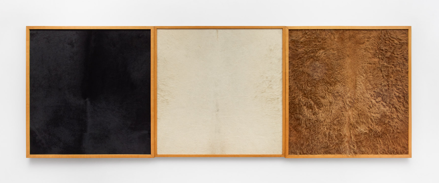 Nelson Leirner | Construtivismo Rural, 1999