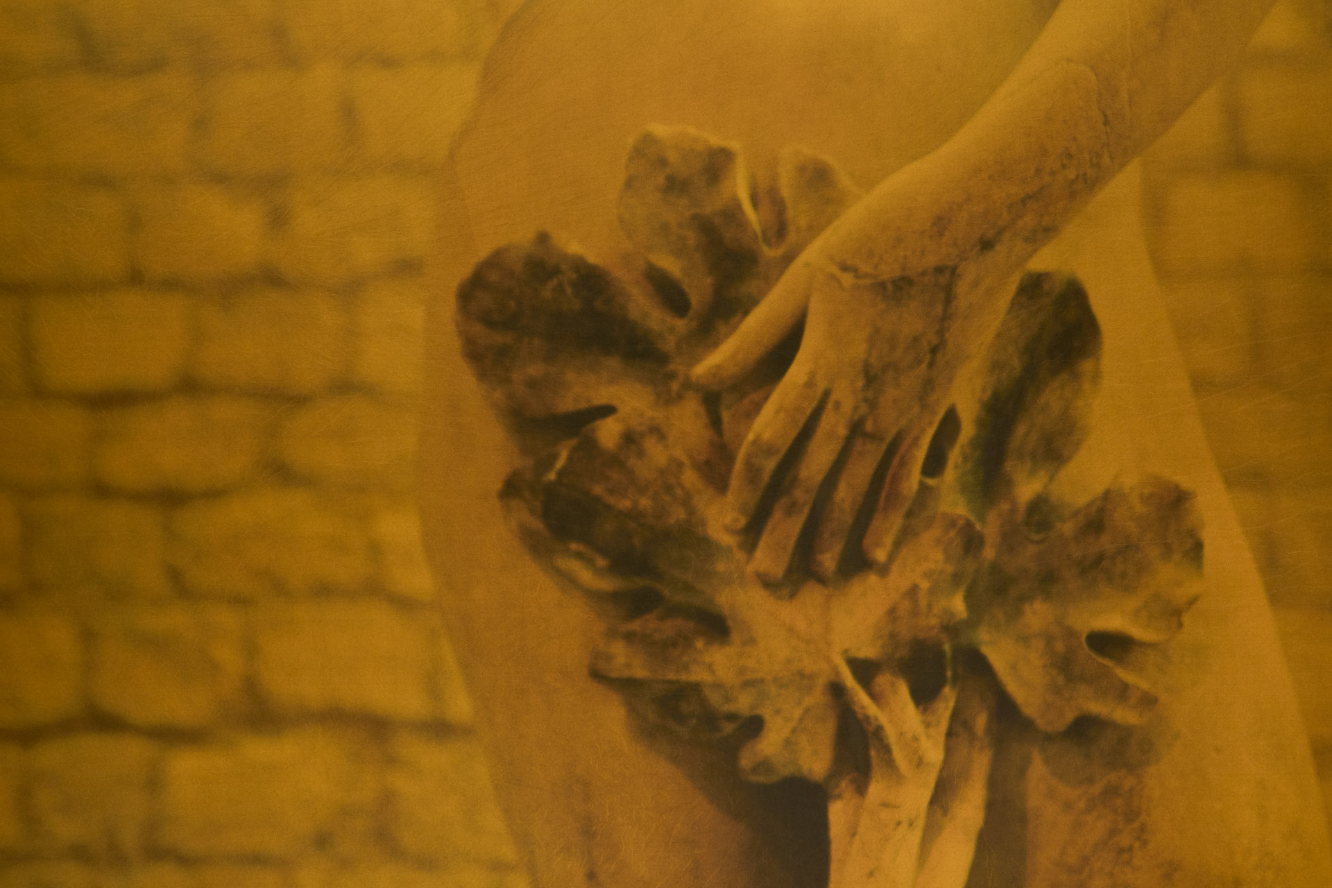 Corpo de pedra (Figueira), 2025