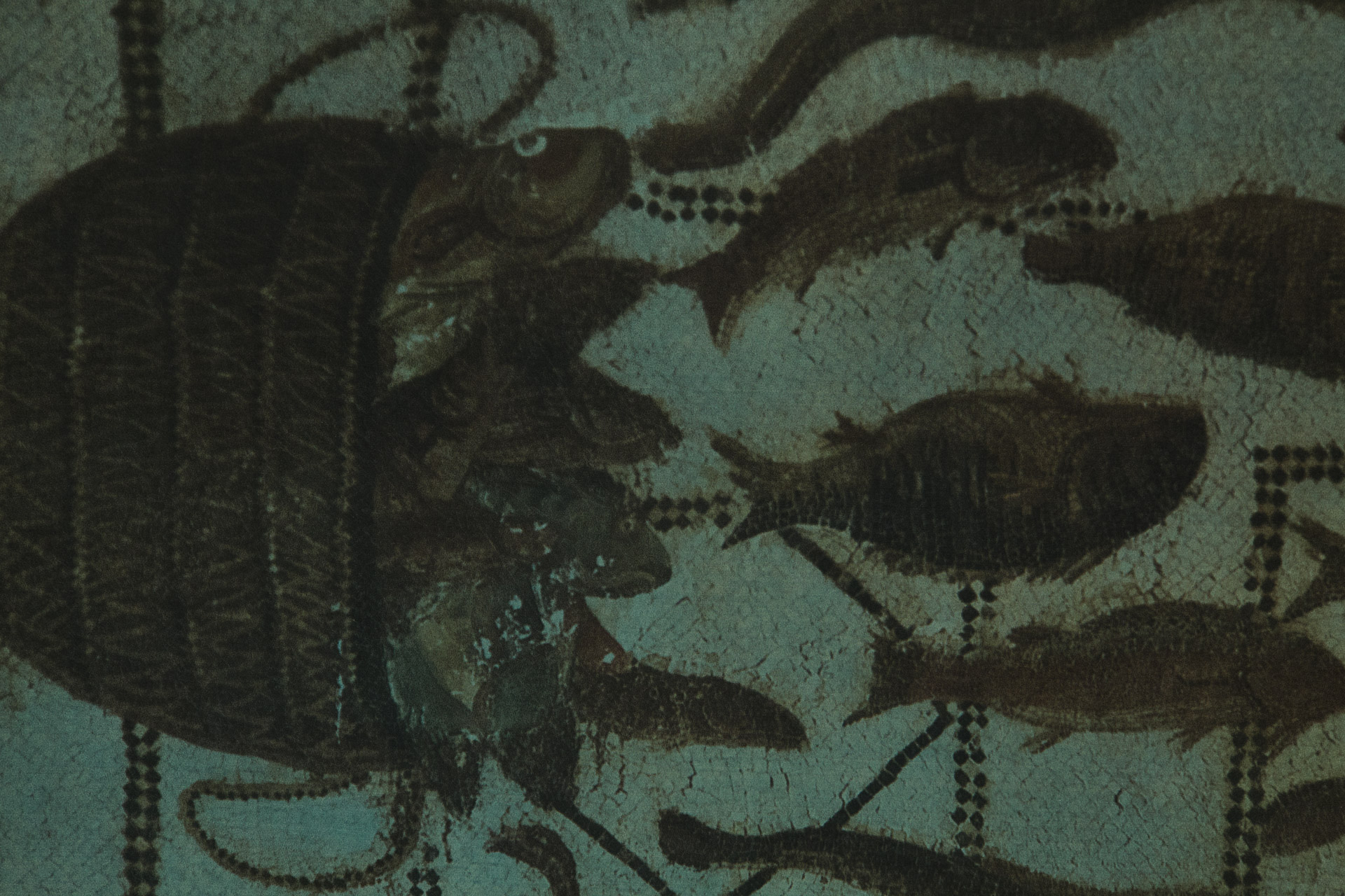 Peixe saindo da cesta e Jasmin noite, 2025