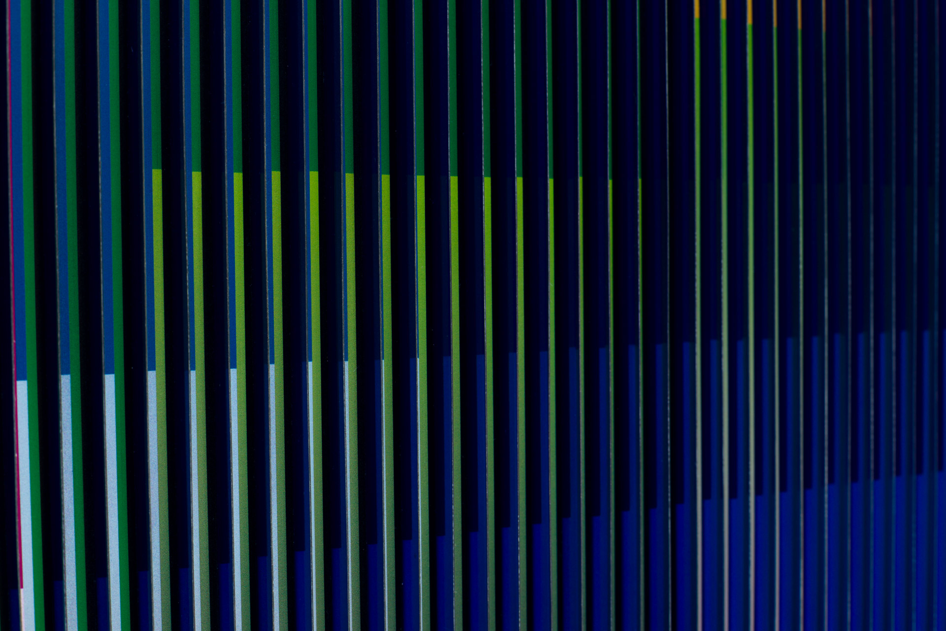 Physichromie Panam 6, 2010