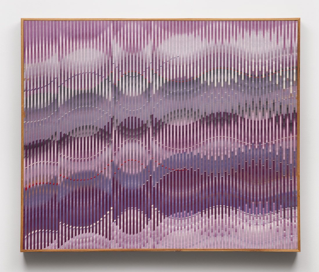 Abraham Palatnik | W-627, 2014