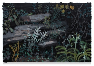 Mato com pedras, 2016