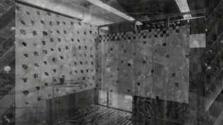 Dashiell Manley | Sem título, 2011 