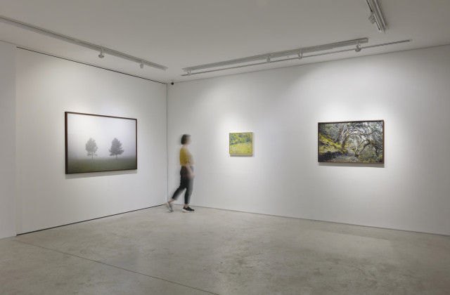 Paisagens Interiores